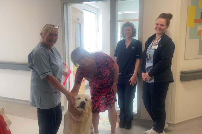 Millie the dog attends the Mental Health Unit at Forth Valley Royal Hospital