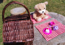 Teddy Bears Picnic