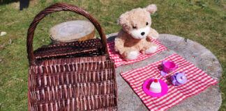 Teddy Bears Picnic