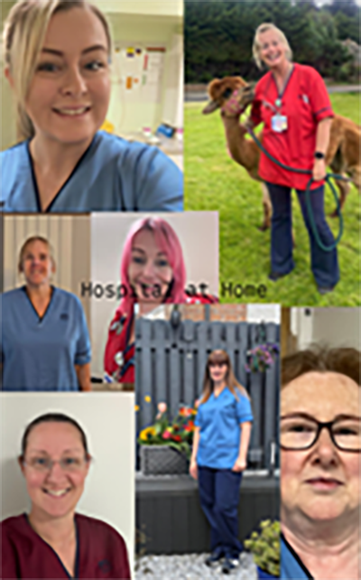 Hospital at Home Team Fundraising for Strathcarron Hospice